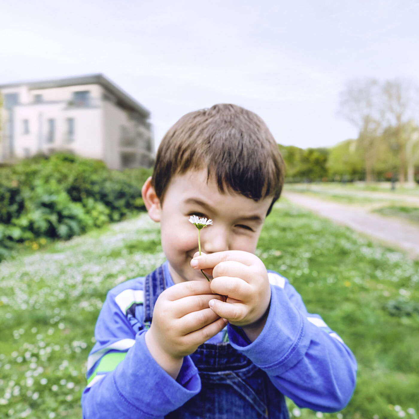 Das ARWAG Mietkauf-Modell schafft einen realistischen und planbaren Weg in die Eigentumswohnung. Statt sofort zu kaufen, wird die Wohnung zunächst gemietet. Der Kaufpreis steht bereits fest, der bezahlte Netto-Hauptmietzins wird zu 100 % angerechnet und die Wohnung kann schon während der Mietdauer voll genutzt werden. Dadurch entsteht vom ersten Tag an ein echter Vermögensaufbau – ohne sofortige Gesamtfinanzierung.

Damit Sie das Modell besser einordnen können, haben wir jene Fragen beantwortet, die im Austausch mit Interessent:innen am häufigsten gestellt werden.