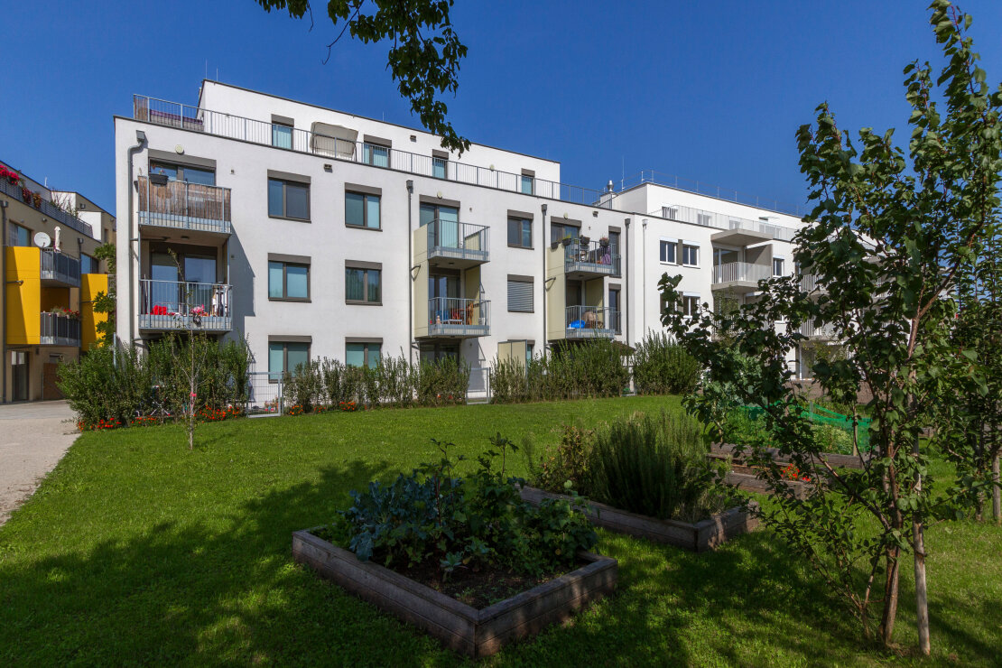 Kimmerlgasse 35-37 (1110 Wien, Miete) | ARWAG Holding-AG